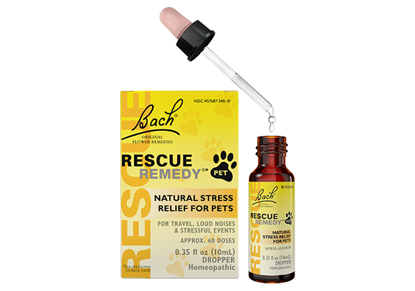 Bachs rescue sale remedy for cats